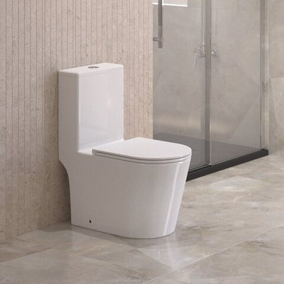 Унитаз-моноблок безободковый с сиденьем микролифт BelBagno TRE BB673CP-MN-TOR/SC