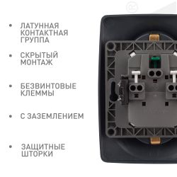 Розетка ЭРА Серия 12 12-2108-05 2X2P+E Schuko со шторками 16A-250В IP20 антрацит | Эра 12