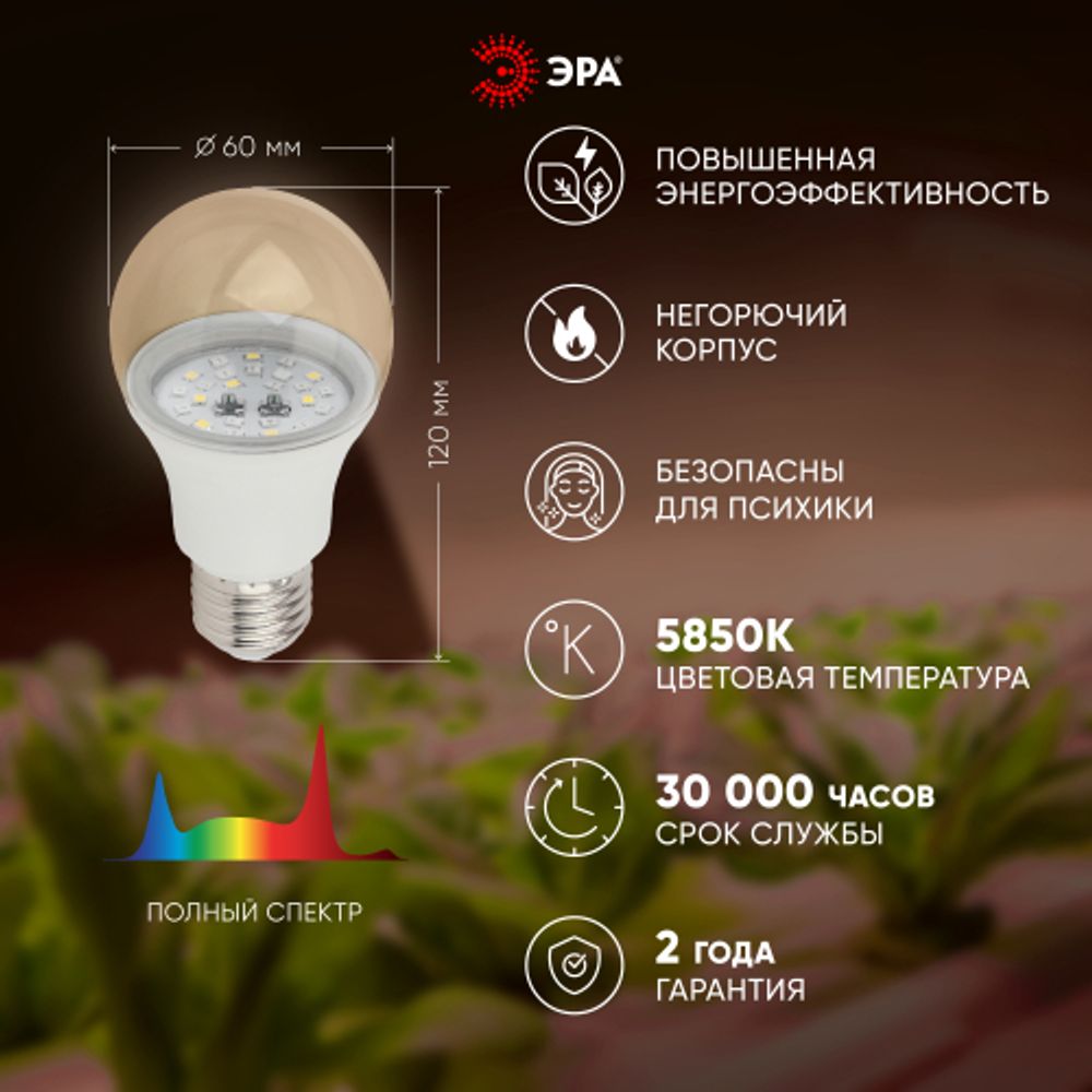 Фитолампа для растений светодиодная ЭРА FITO-11W-Ra90-E 27 полного спектра new 11 Вт Е27 | Фитолампы Е27
