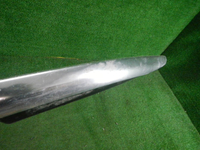 DSCN0479.JPG