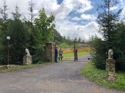 Проведен осмотр ворот на Львином проезде