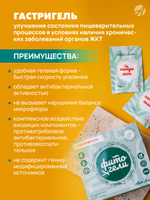 Гастригель, саше. 30 шт Скорая помощь при острых болях и обострении хронических заболеваний органов ЖКТ в удобной гелевой форме