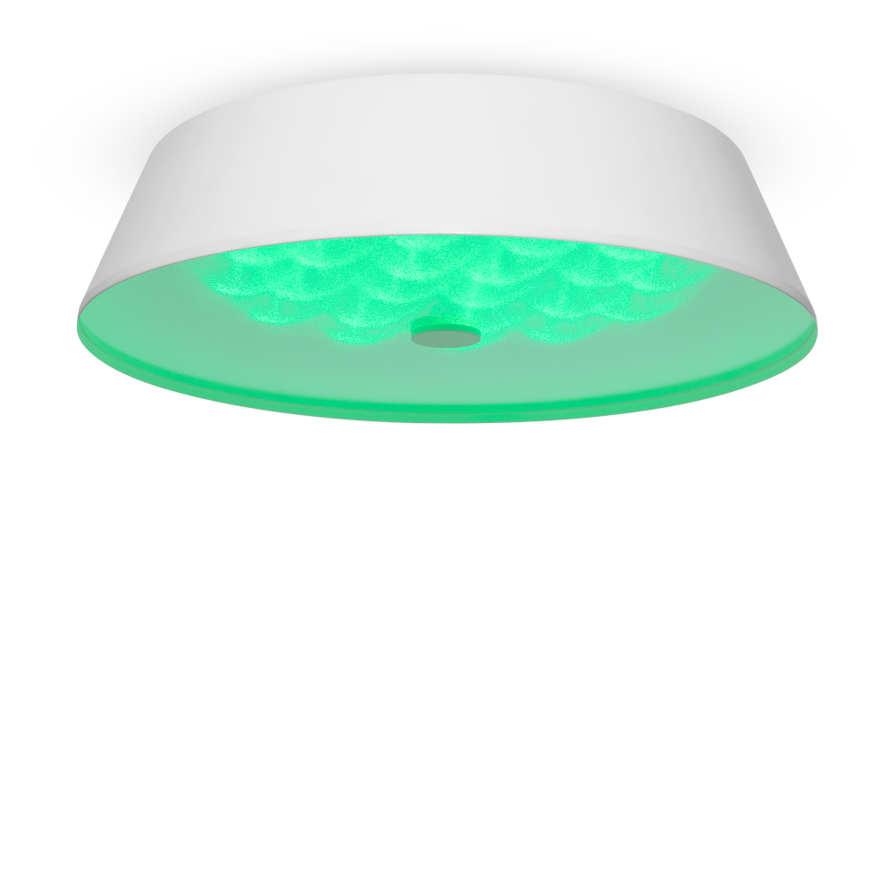 Потолочный светильник Freya FR10013CL-L24W