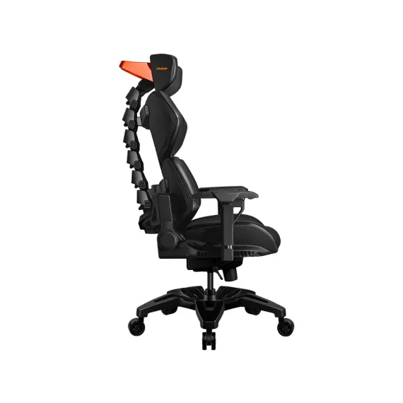 Cougar Terminator Black