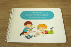 Диагностика сенсорного развития детей. Ранний возраст (2-3 года)