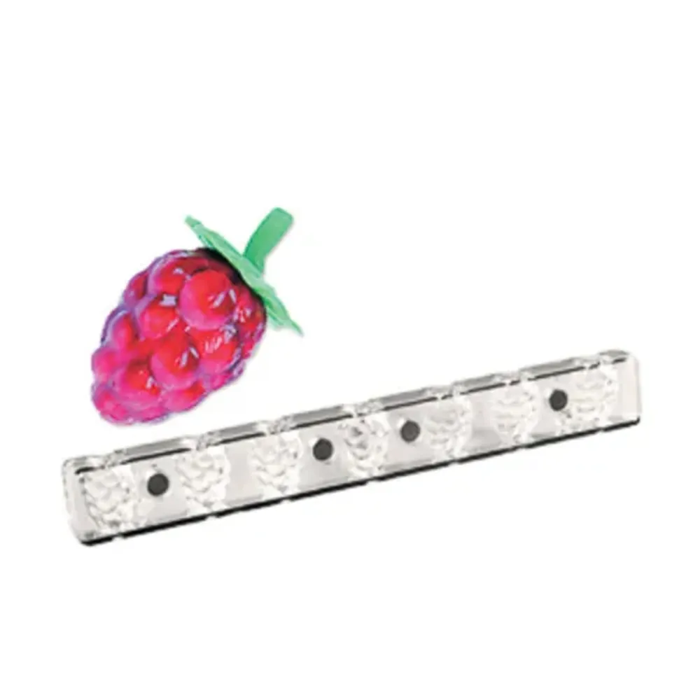 Пластиковая форма на магнитах "Малина садовая" 7 ячеек 21*32 мм, P.L. Proff Cuisine