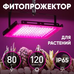 Фитопрожектор для растений светодиодный ЭРА FITO-80W-RB-LED-Y красно-синего спектра | Фито прожекторы