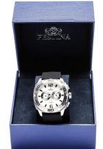 Мужские наручные часы Festina F16665/1