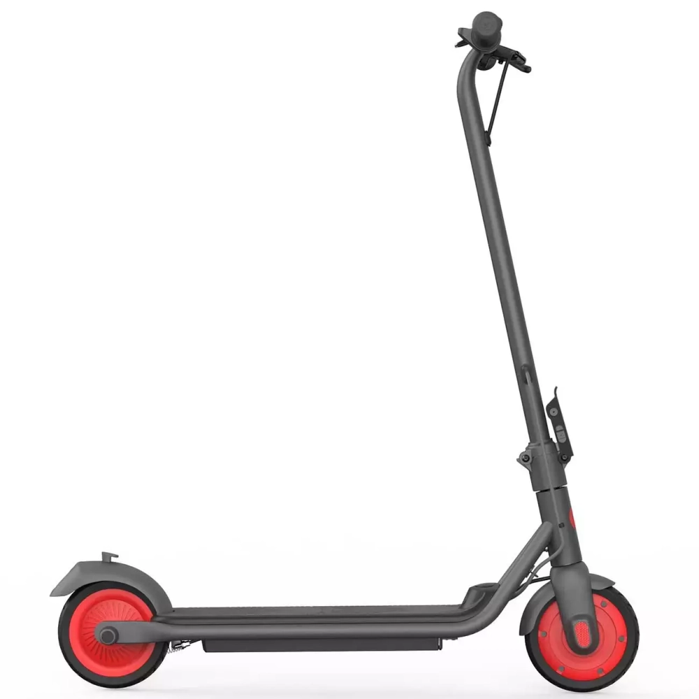 Электросамокат Ninebot by Segway KickScooter C20 (черный)