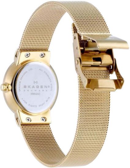 Наручные часы Skagen 358SGGD