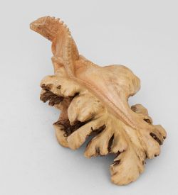 Decor and Gift 45-025 Статуэтка «Игуана» 25 см