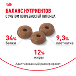 Royal Canin Appetite Control Care Аппетайт контрол кэа Корм сухой для взрослых кошек контроль выпрашивания корма 3,5кг