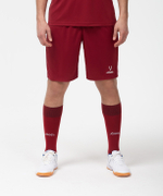 Гетры футбольные CAMP BASIC SOCKS, гранатовый/серый/белый