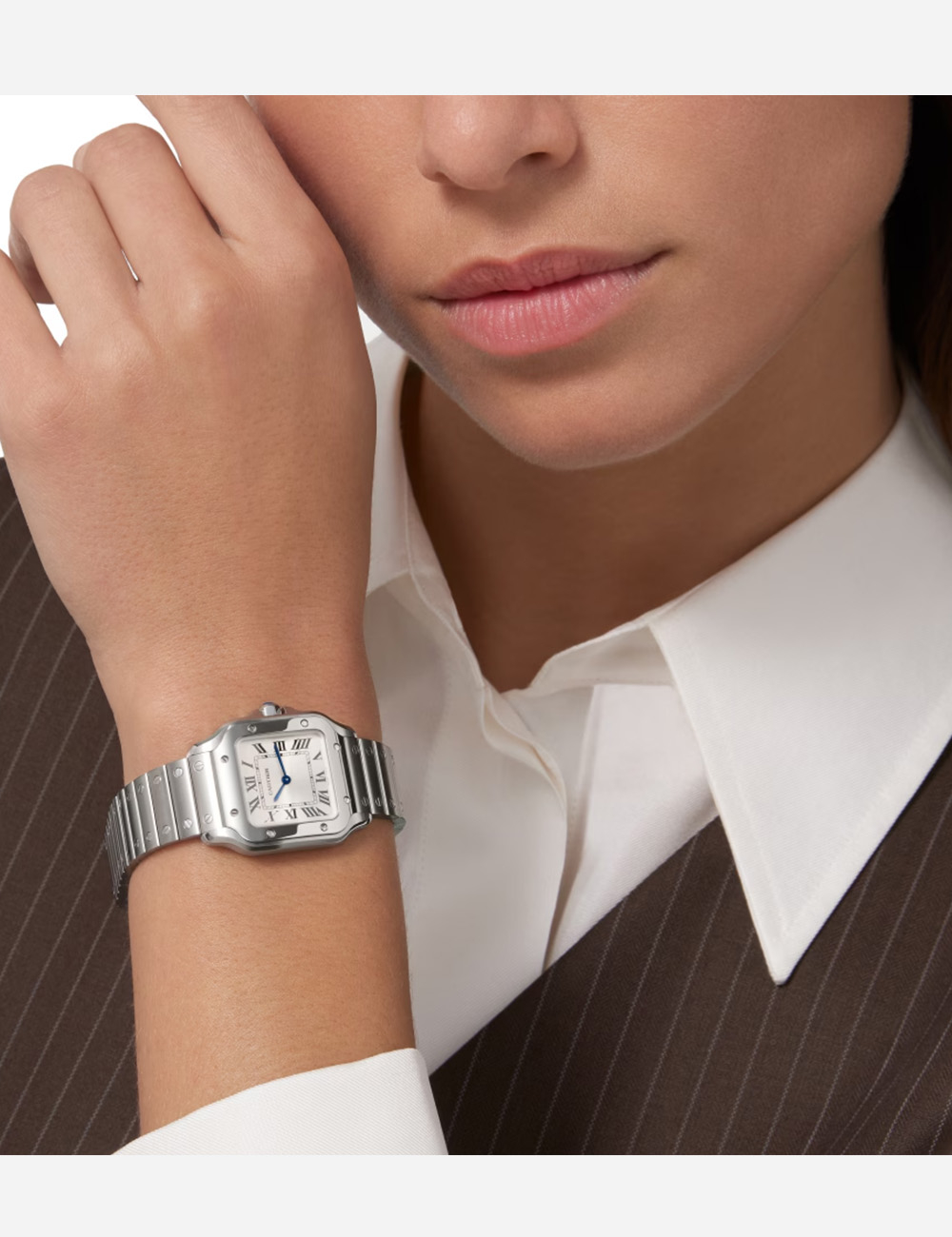 Наручные часы Cartier Santos Silver S