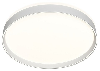 Накладной светильник Denkirs PLATO DK6511-WH