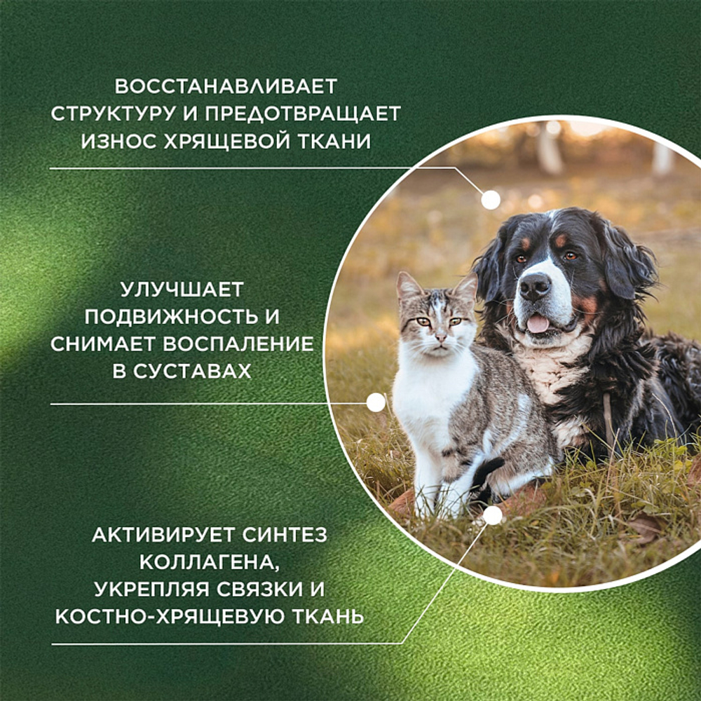 Функциональная кормовая добавка для собак и кошек ProPhyto Артро Защита, 100 таблеток