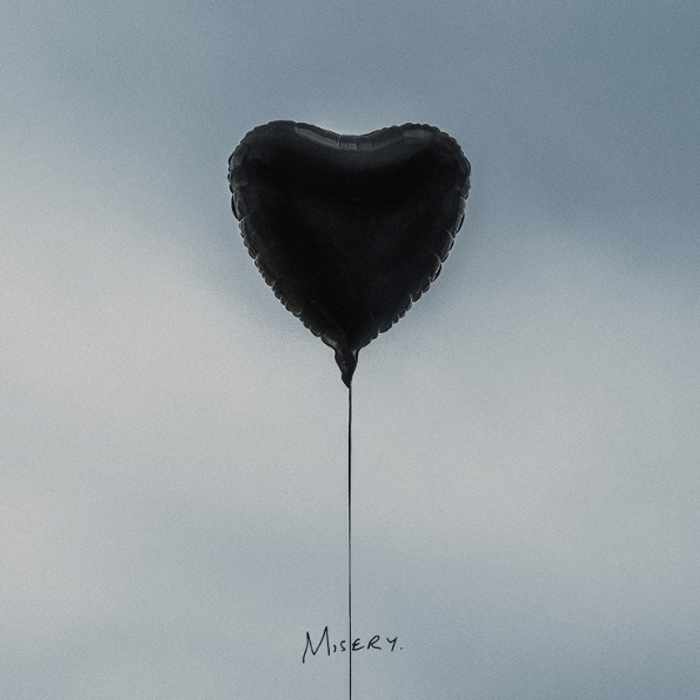 The Amity Affliction / Misery (LP)