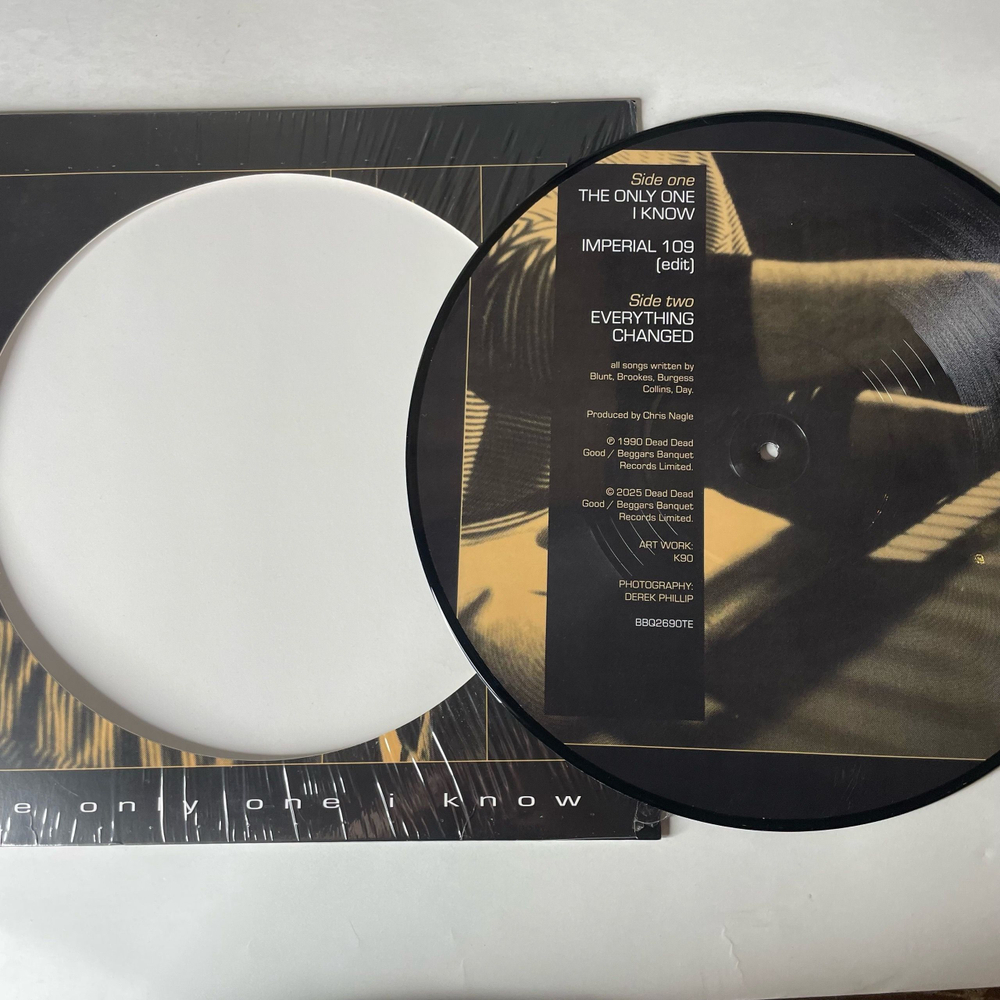 Виниловая пластинка LP The Charlatans The Only One I Know (Европейский Союз 2025) (Maxi Single Picture Disc)