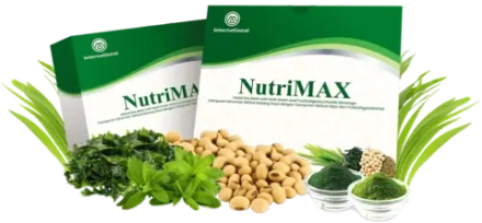 NutriMAX Протеиновый смузи для похудения 15 саше