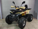 Квадроцикл PROMAX WILD 2.0 190 PRO (2025)