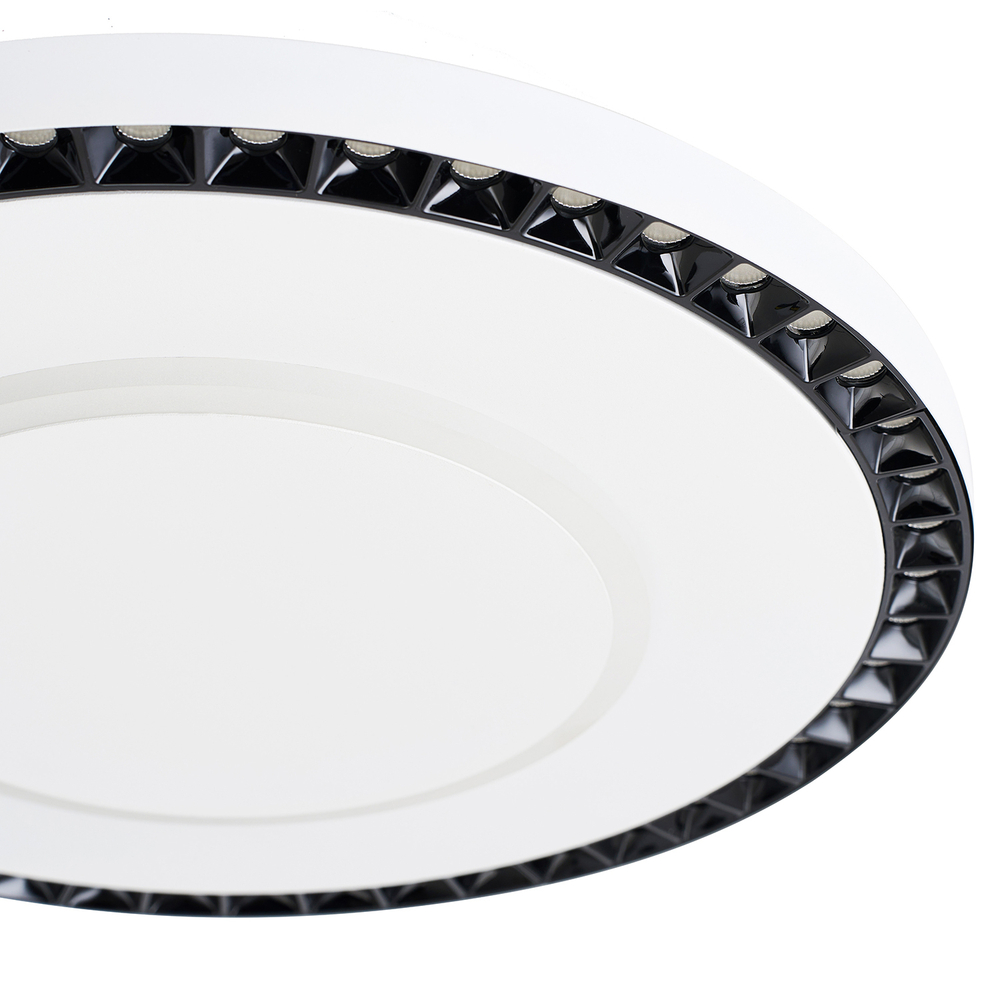 Потолочный светодиодный светильник F-Promo Skiva 4432-1C