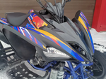 Квадроцикл PROMAX RAPTOR 300 NEW