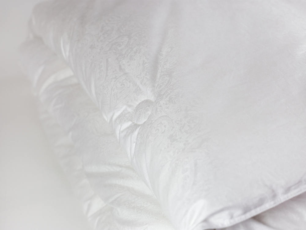 Одеяло всесезонное 240х260 German Grass Пейсли (Silk Line Paisley Silk)