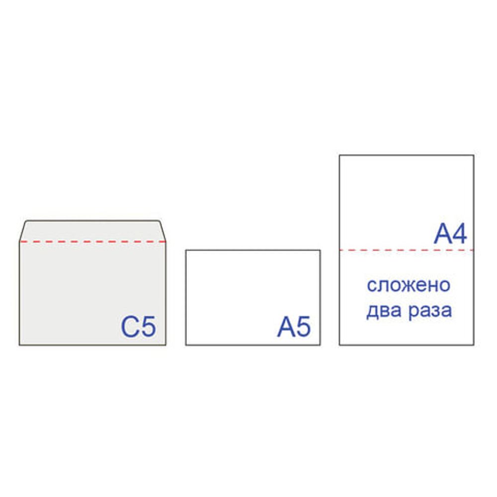 Конверты С5 (162х229 мм), отрывная лента, "Куда-Кому", 80 г/м2, КОМПЛЕКТ 50 шт., внутренняя запечатка, С50.15.50С