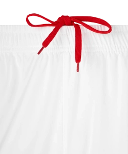 Шорты баскетбольные DIVISION PerFormDRY RBF Shorts, белый