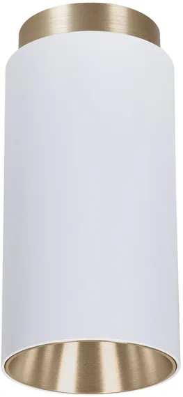 Точечный светильник Cone A5361PL-1WH Arte Lamp