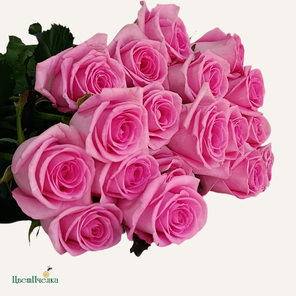 Фон карточки (73).png