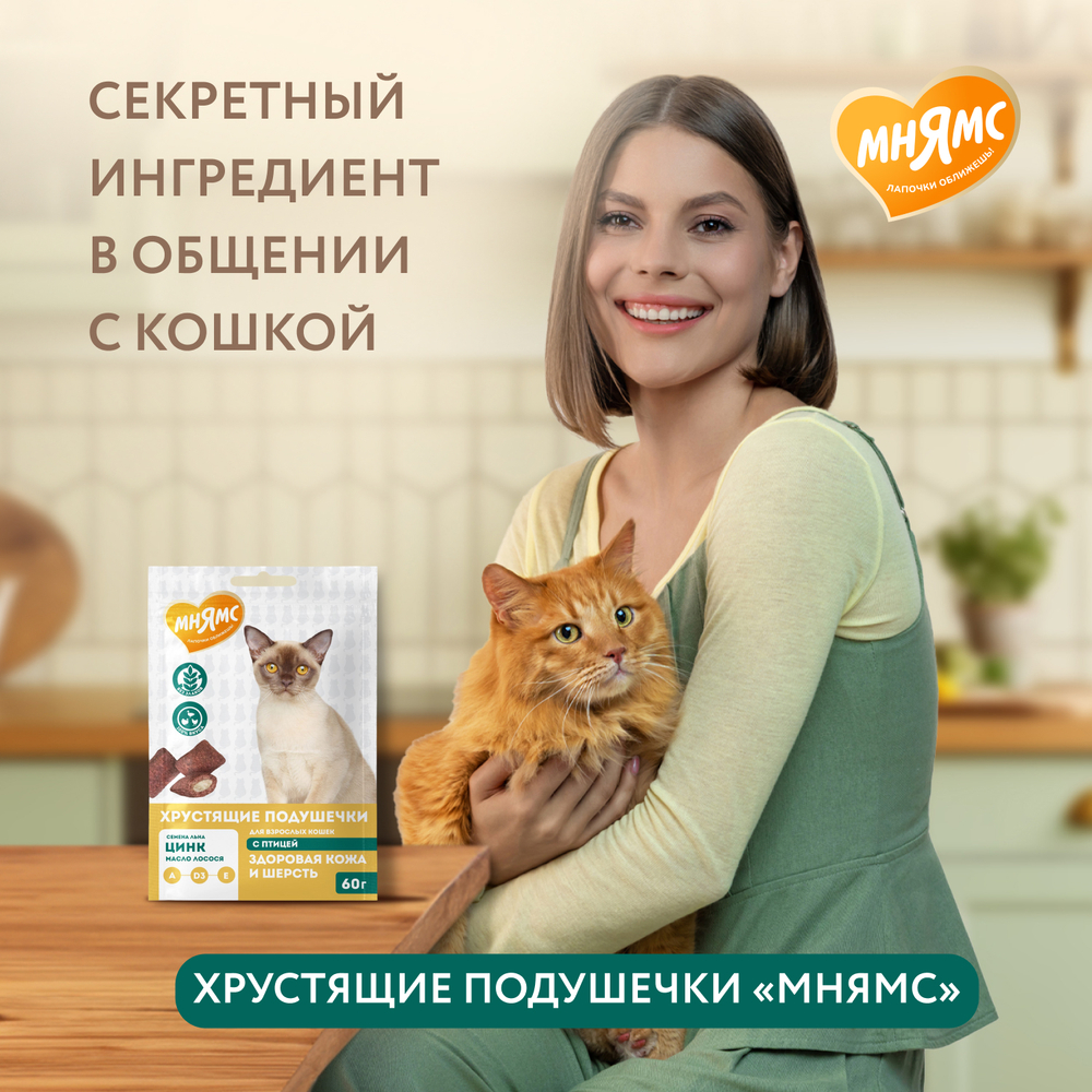 МНЯМС Лакомство "Здоровая кожа и шерсть" хрустящие подушечки для кошек с птицей, 60 г