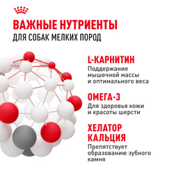 Royal Canin Mini Adult Корм сухой для взрослых собак мелких размеров от 10 месяцев - 8 кг
