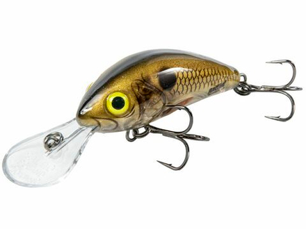 Воблер плавающий Salmo HORHET Rattlin F / 5.5 см, цвет Clear Floating Pearl Shad
