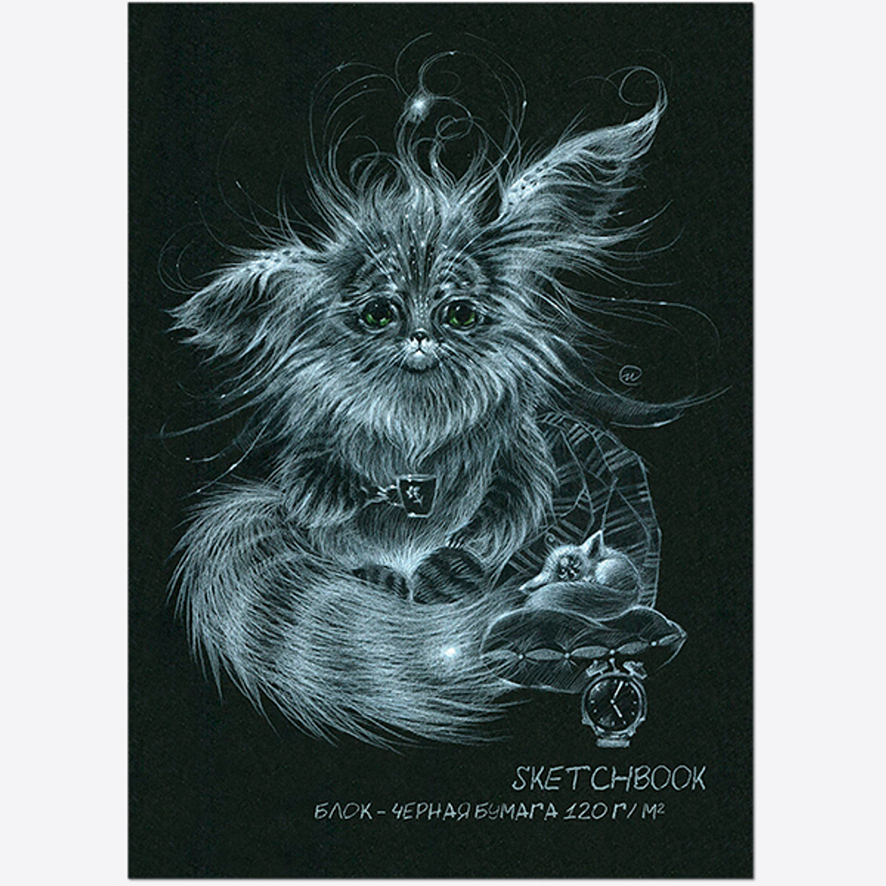 Блокнот-скетчбук SKETCHBOOK BLACK А4 на скрепке