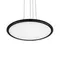 Подвесной светильник Sweety 10454/500P Black Loft It