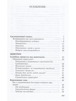 СИМВОЛИЧЕСКАЯ ИСТОРИЯ ЕВРОПЕЙСКОГО СРЕДНЕВЕКОВЬЯ