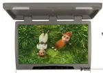 Монитор потолочный - ERGO ER22H с экраном 22” (LCD 1680x1050) серый