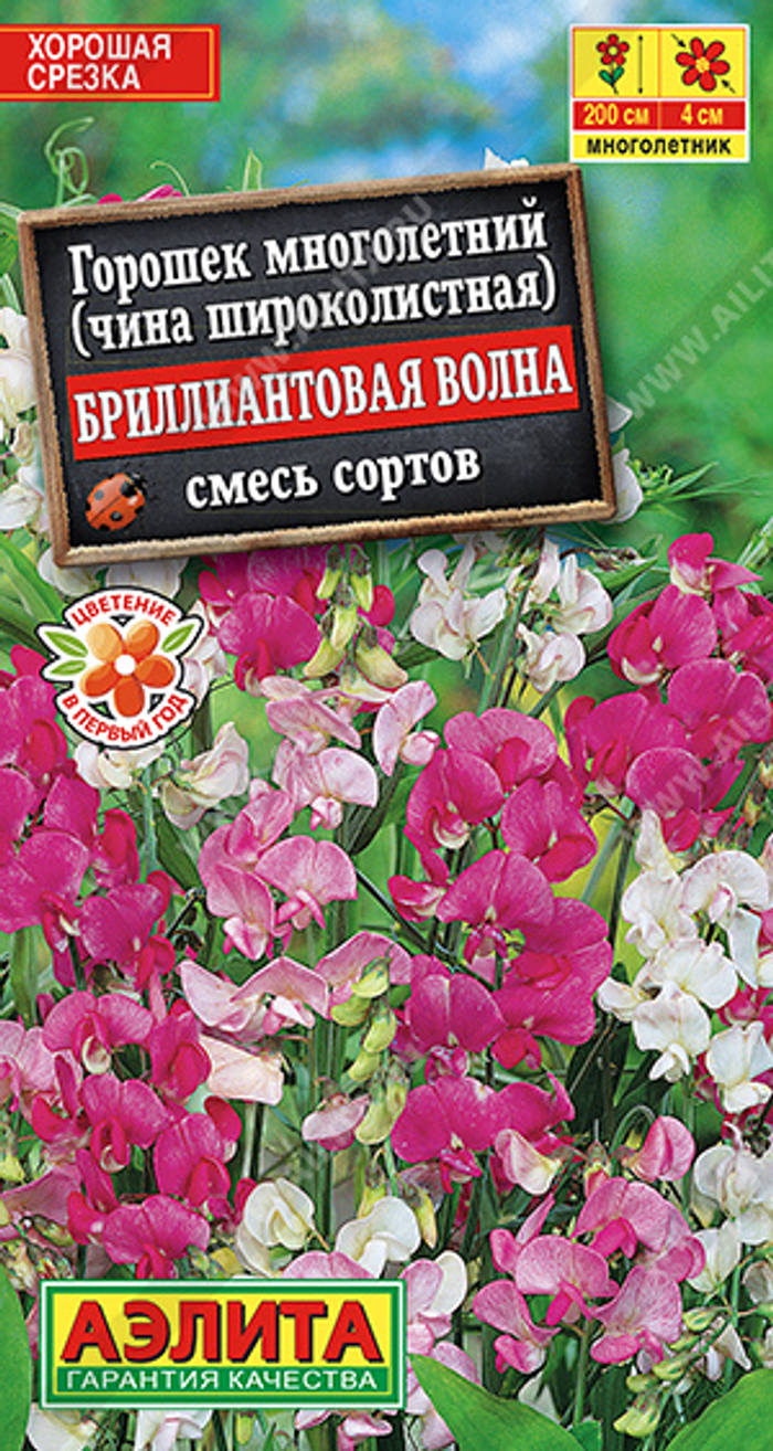 ГОРОШЕК БРИЛЛИАНТОВЫЙ волна окрасок 27.62 1562