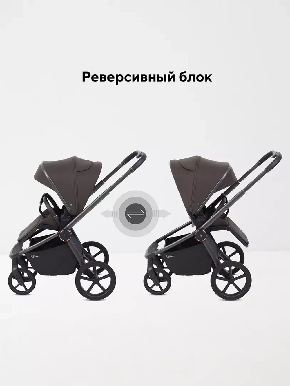 Коляска детская RANT "FLEX color" RA118 Shine Brown