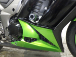 Kawasaki Ninja 1000 2011