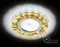 Точечный светильник Декоративные Led+mr16 S232 W/G Ambrella