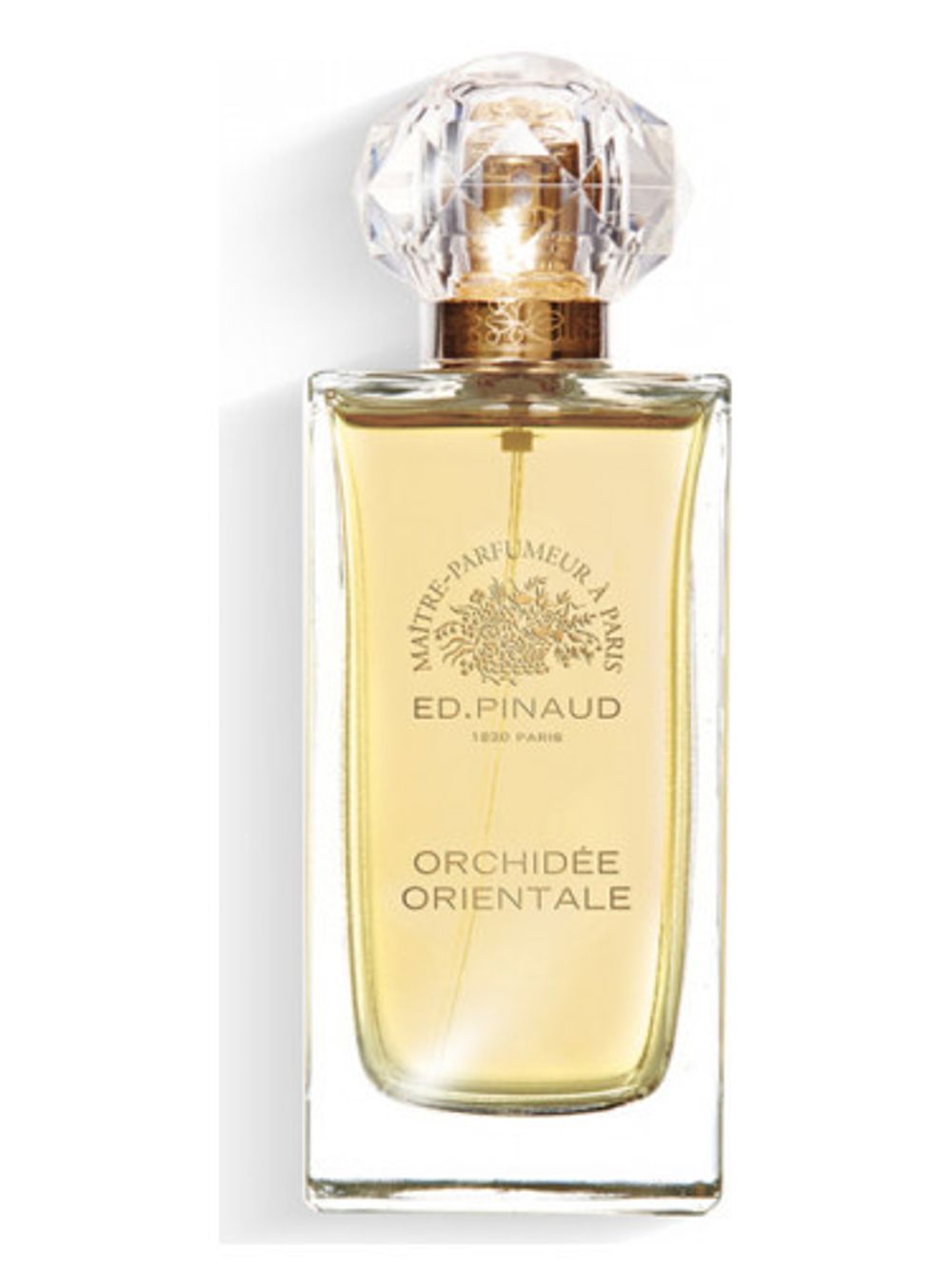 Ed Pinaud Orchidee Orientale