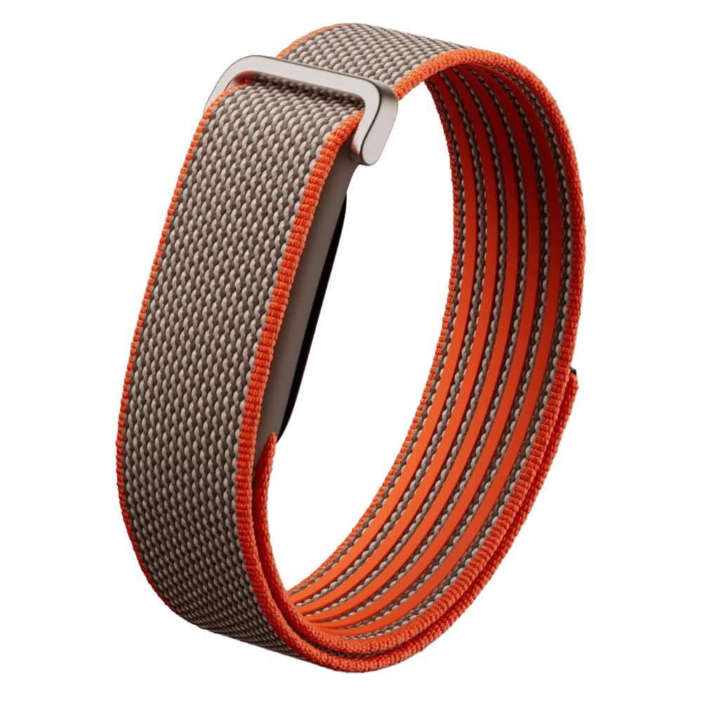 Фитнес-браслет Google Fitbit Air
