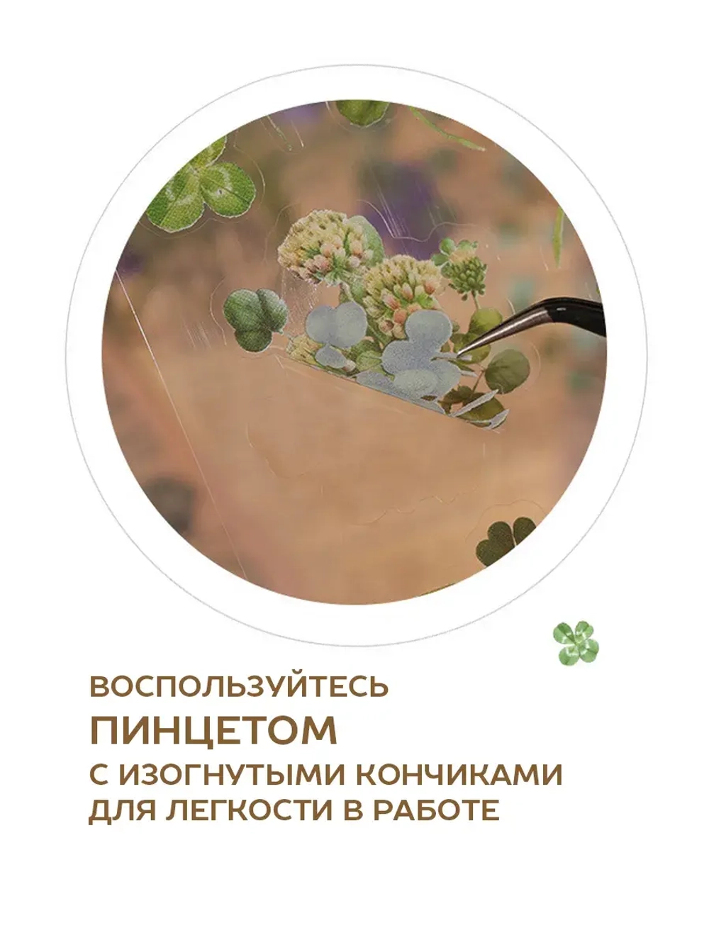 Наклейки флора на прозрачном фоне Роза цветы