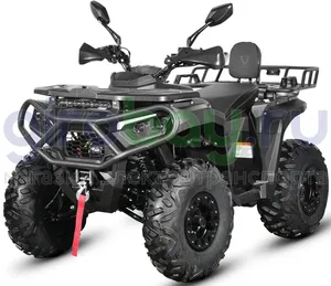 Бензиновый квадроцикл WHITE SIBERIA BARS 250 CC - Чёрный фото №1