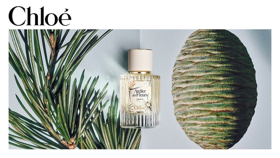 Парфюмерная вода Chloé Atelier des Fleurs Cedrus 50 мл Оригинал