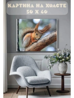 Картина на стену 40 X 50 Белка