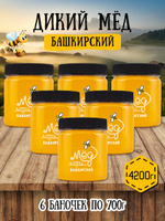 Мёд натуральный дикий набор (6 банки по 700 г), 4200 г
