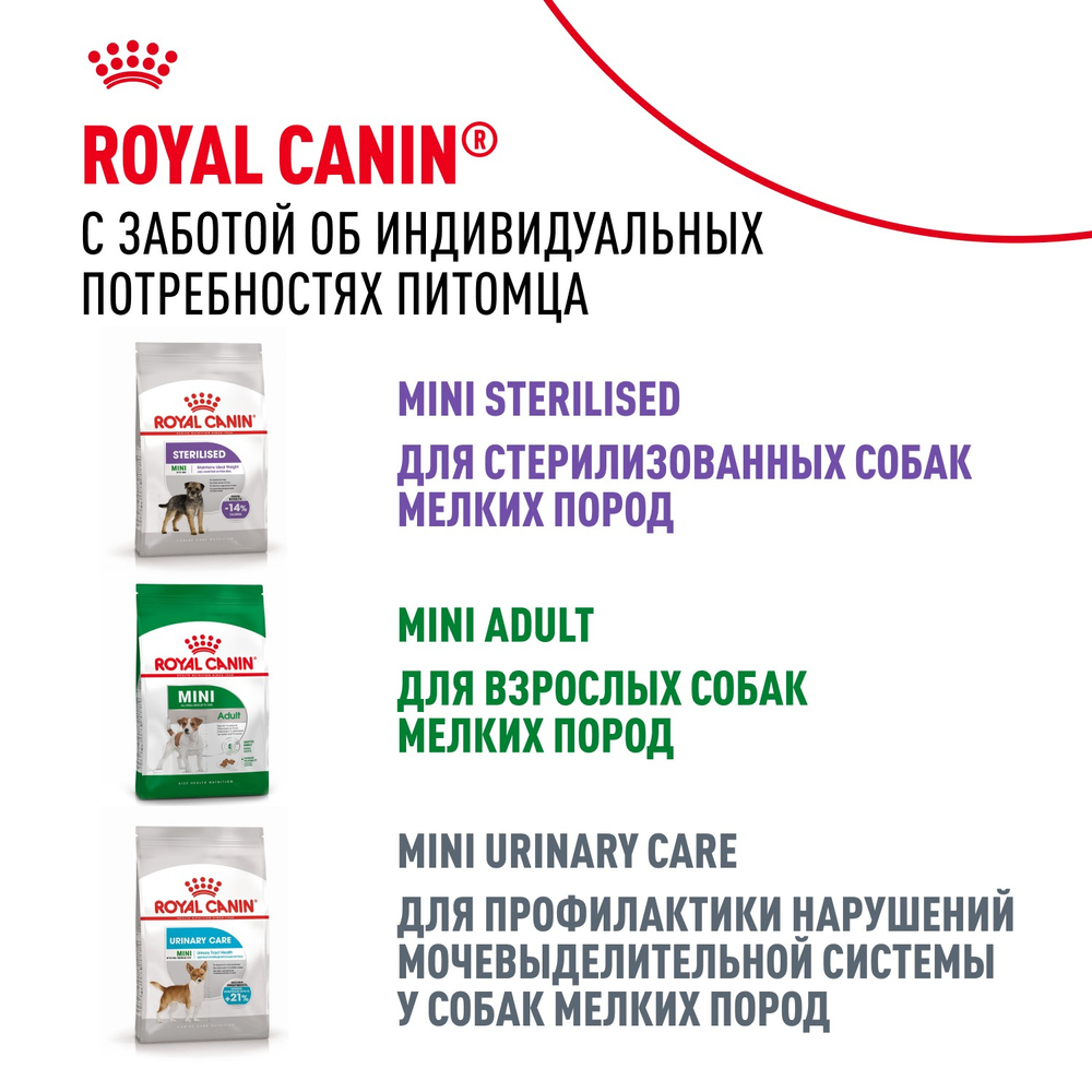 Royal Canin Mini Adult 8+ Мини Эдалт Корм сухой для взрослых собак мелких пород старше 8 лет 4кг